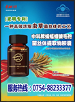 看更好的的效果,請(qǐng)點(diǎn)擊放大!!